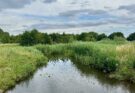 Een van de mooiste natuurgebieden in Helmond: de Bakelse Beemden.