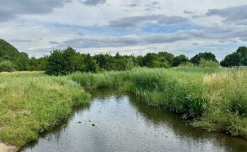Een van de mooiste natuurgebieden in Helmond: de Bakelse Beemden.