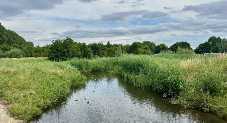 Een van de mooiste natuurgebieden in Helmond: de Bakelse Beemden.