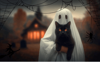 Dit is er te doen tijdens Halloween 2025 in Helmond.